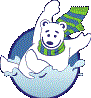 Polar Bear Plunge